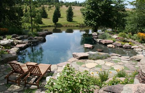 115 Nature-Inspired Pool with Vanishing Edge | Natural backyard pools ...