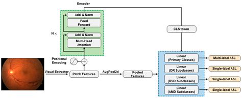 Interpretable Detection of Diabetic Retinopathy, Retinal Vein Occlusion ...