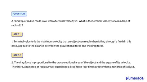 Image result for Terminal Velocity Examples