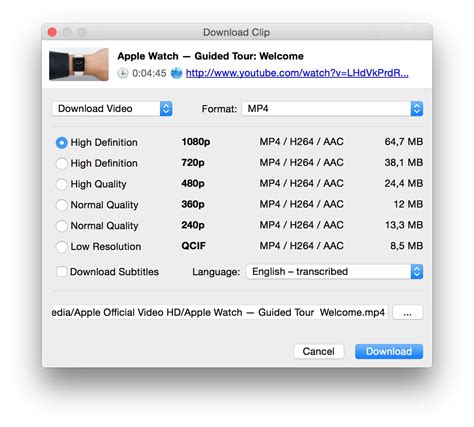 4K Video Downloader: Grab YouTube playlists and channels on Mac ...