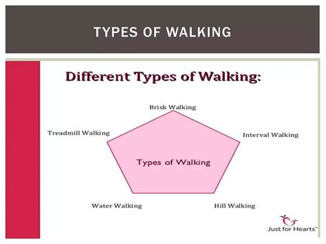 Image result for Exercise Types