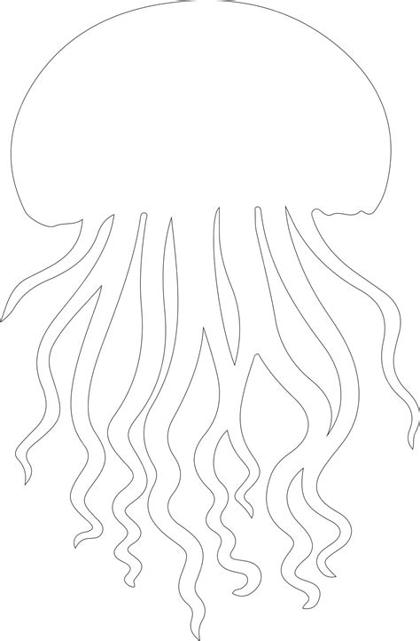 Premium Vector | Jellyfish outline with transparent background