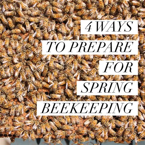 Image result for Spring Beekeeping