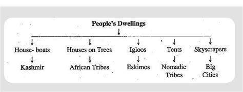 Look at the three diagram given below. transfer the given information ...