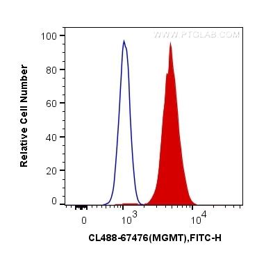 MGMT antibody (CL488-67476) | Proteintech