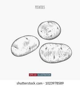 Image result for Potato Man Project Python Coding
