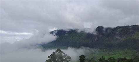 Top vacation in munnar - Review of Fragrant Nature Munnar, Pothamedu ...