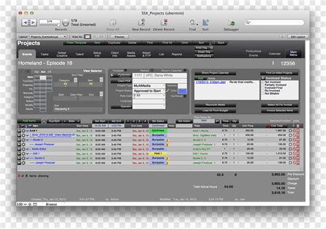 FileMaker Charts Forms 的图像结果