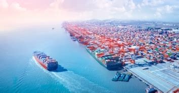 IMO and WCO issue joint statement urging to maintain flow of essential ...