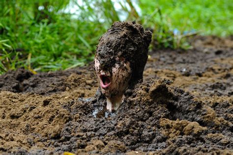 Mud puddle visuals shake - wesgang