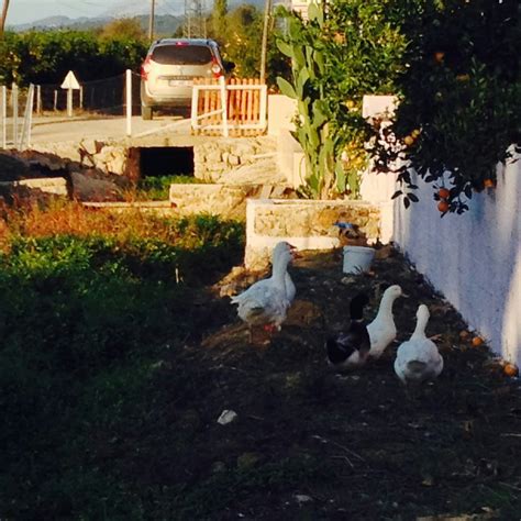 THE BEST Places to Visit in Kozan (2025) - Must-See Attractions