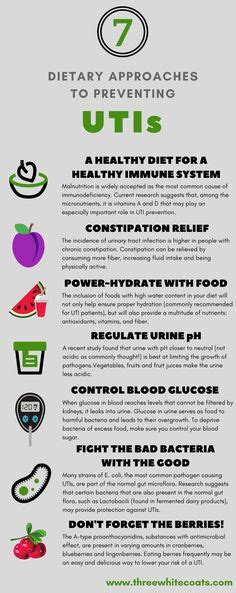 cat food uti health