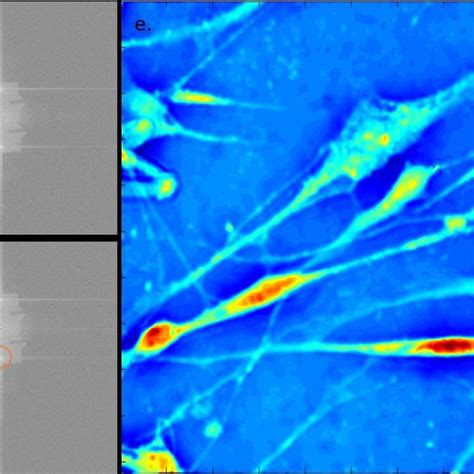 Image result for Phase Angle Diffraction