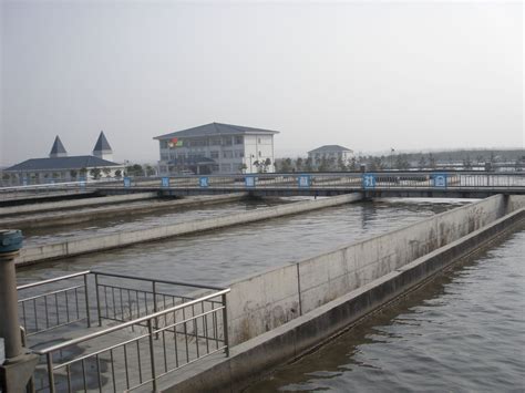 唐山市东北郊污水处理厂排污口设置影响分析