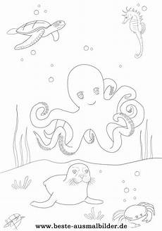 malvorlagen quallen jung ausmalbild fische oktopus seehund ausmalbilder ausma malvorlagen quallen jung ausmalbild fische oktopus seehund ausmalbilder ausma
