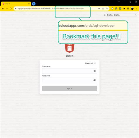 Image result for Oracle Apex SQL Developer Web Lock