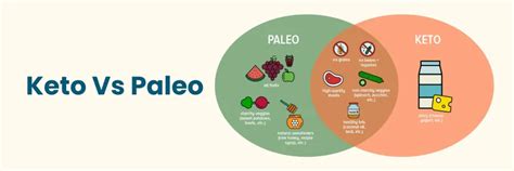 Keto vs Paleo: Understanding the Differences and Benefits
