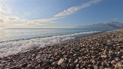 Image result for Free Beach Video Loop Download