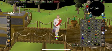 Finally got the D Scim!! : r/ironscape