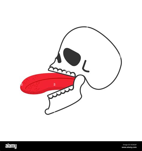 Skull open mouth and tongue. Head of skeleton open mouth. Vector ...