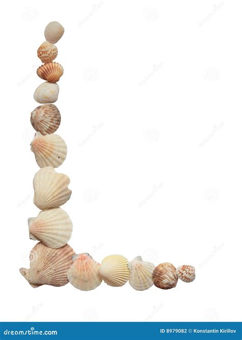 Shell Border 的图像结果