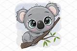 Cartoon Cute Koala Drawing - Drawing Tips Guide