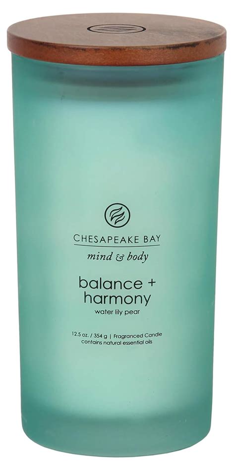 Chesapeake Bay Candle Mind & Body Collection Large Jar Candle, Balance ...
