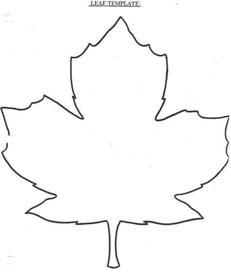 Leaf Drawing Easy at PaintingValley.com | Explore collection of Leaf ...