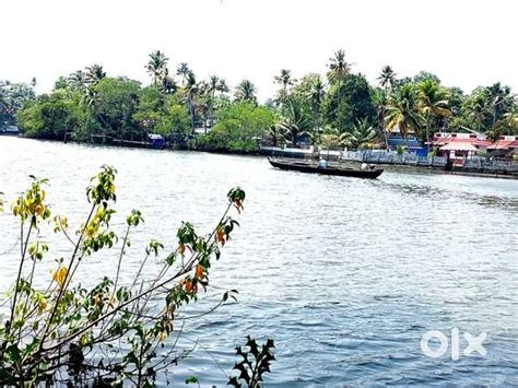 Waterfront land at Koonammav Kochi - Lands & Plots - 1799374894