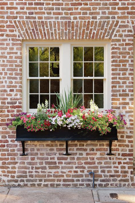 Window Box Flowers: Add Charm with Window Boxes