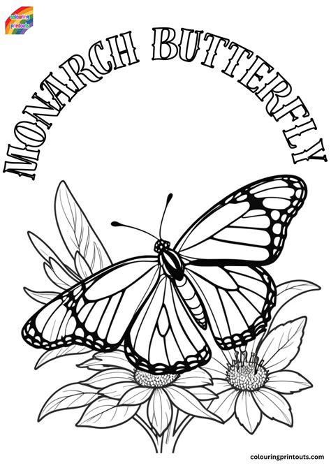 Free Printable Monarch Butterfly Coloring Pages