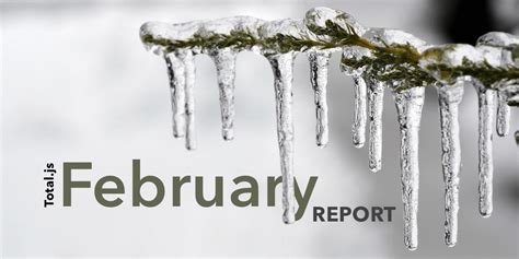 Februar report 2020 - Total.js Platform Blog