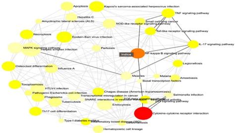 CIMB | Special Issue : Molecular Mechanisms and Innovative Therapeutic ...