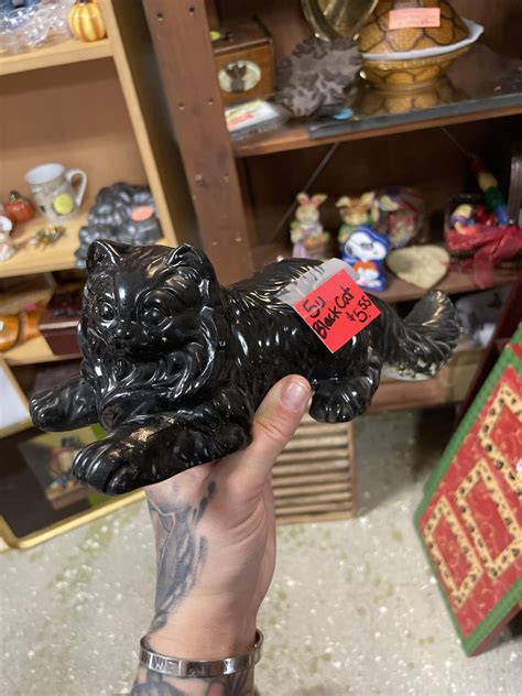 Looks like my sister’s cat : r/ThriftStoreCats