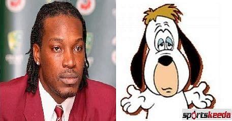 Cartoon look-alikes in cricket