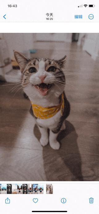 +HowToBasic Iphne 的图像结果