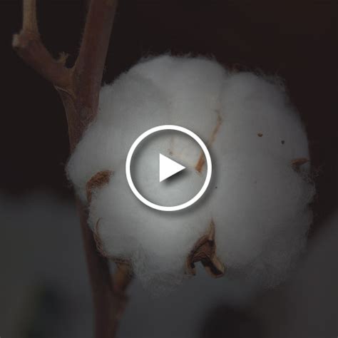 Eco-design principles can be applied to various aspects of a product ...