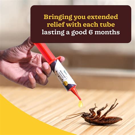 Blockroach Fipronil 0.05% Gel - 20 gm – Ugaoo