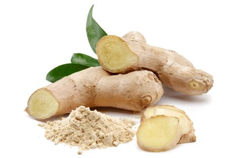 Zingiber officinale Dry Extract - Panacea Phytoextracts