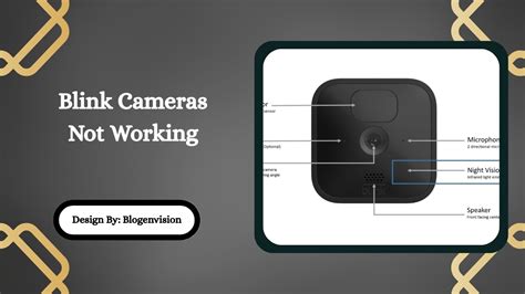 Image result for Monkey Camera Not Working PC