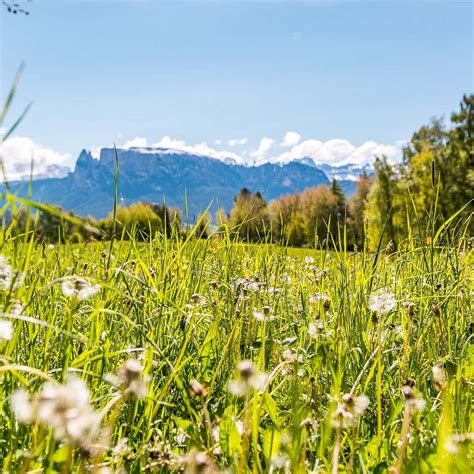 Freud Promenade (Renon) - 2022 What to Know Before You Go (with Photos ...