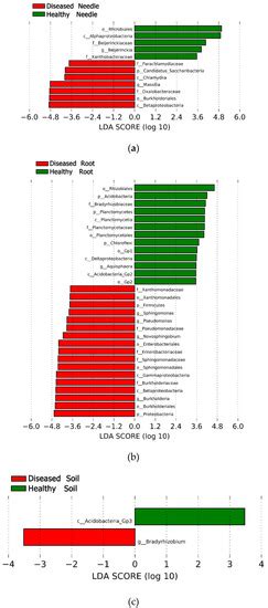 Microorganisms | Special Issue : Plant Microbial Interactions