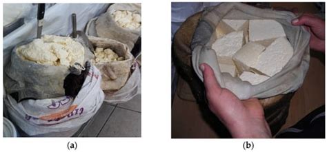 An Overview: Specificities and Novelties of the Cheeses of the Eastern ...