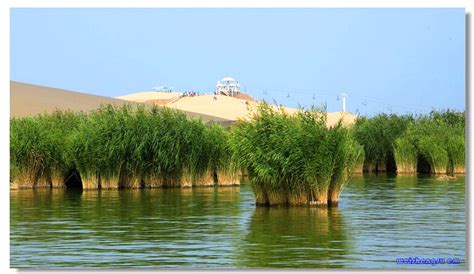 全国35个王牌景点之一，银川沙湖玩水去！-搜狐