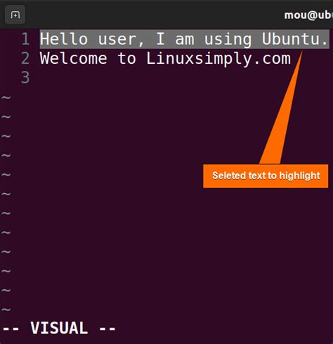 Image result for Linux Vim Search Text