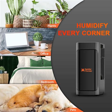 Image result for Coospider Humidifier Set Up