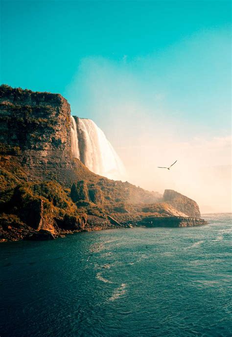 Philosophy 的图像结果