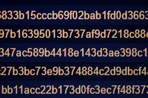 Basic Programmer Random Numbers 的图像结果