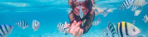 Join In From Pattaya: Nemo Island Experience With Drone Photos And ...