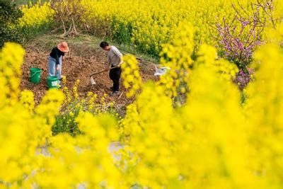 四川阆中：不负春光农耕忙-人民图片网